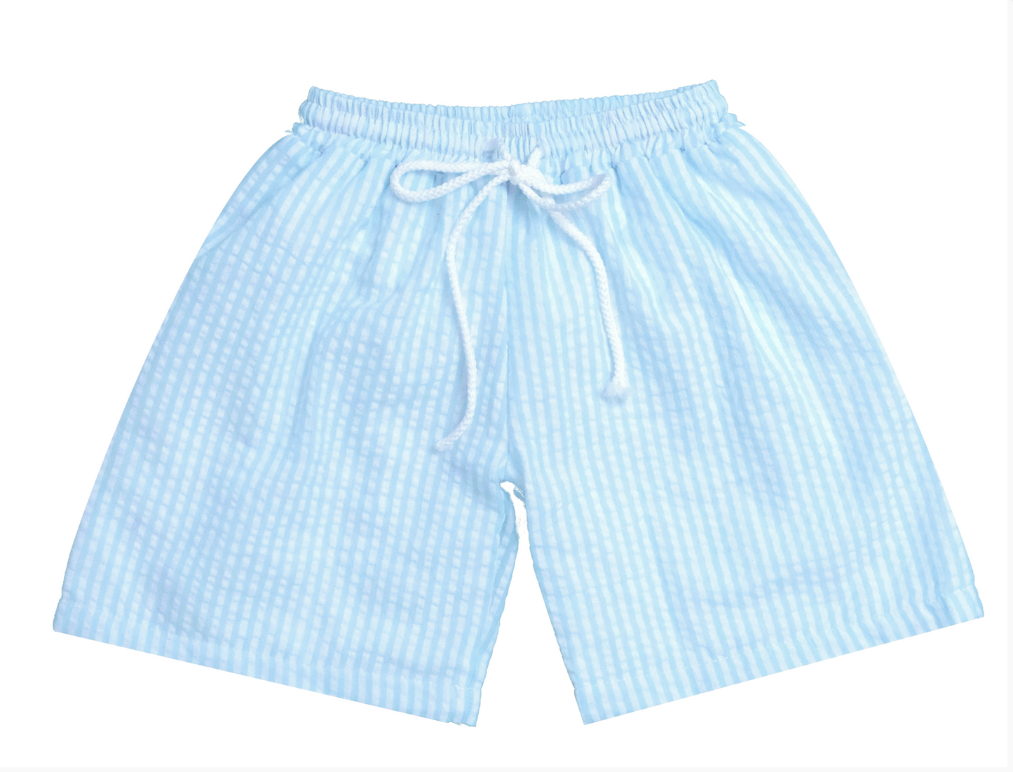 Boy's Seersucker Swim Trunks