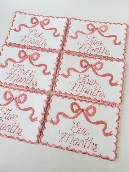 Custom Milestone Signs Months 1-6